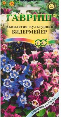 Аквилегия Бидермайер – фото 4