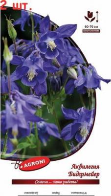 Аквилегия Бидермайер