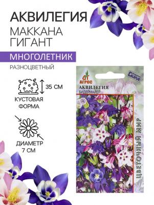 Аквилегия Бидермайер – фото 7