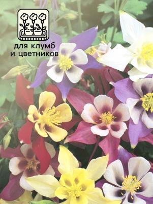 Аквилегия Бидермайер – фото 13