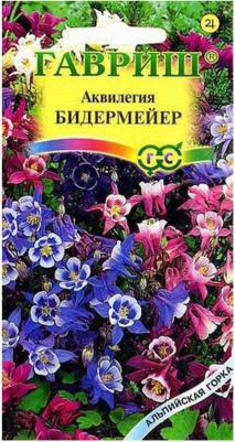 Аквилегия Бидермайер – фото 17