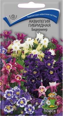 Аквилегия Бидермайер – фото 18