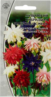 Аквилегия Махровая смесь – фото 6