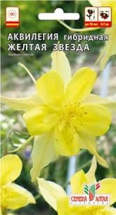 Аквилегия Желтая звезда – фото 14