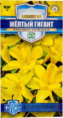 Аквилегия Желтый гигант – фото 1