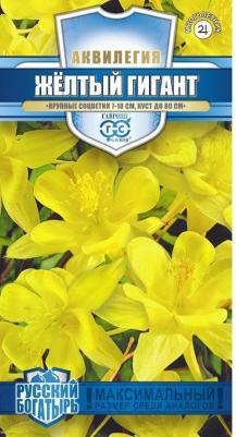 Аквилегия Желтый гигант – фото 3
