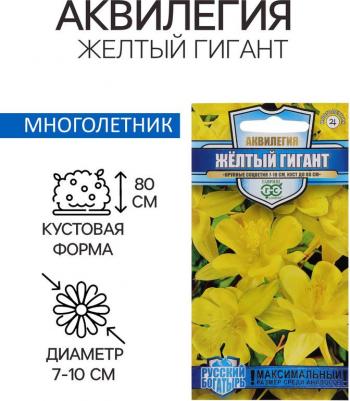 Аквилегия Желтый гигант – фото 5