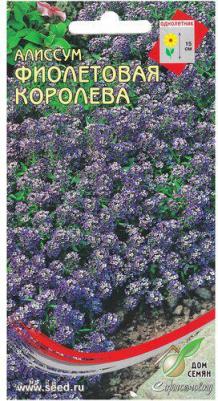 Алиссум Фиолетовая королева