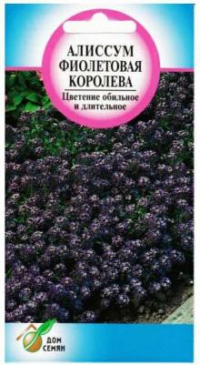 Алиссум Фиолетовая королева – фото 9
