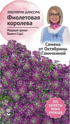 Алиссум Фиолетовая королева – фото 12