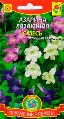 Азарина Лазающая – фото 9