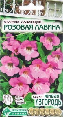 Азарина Лазающая – фото 14