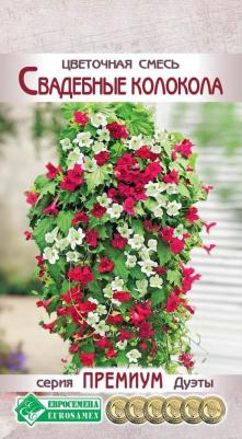 Азарина Лазающая – фото 15