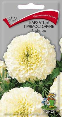 Бархатцы Альбатрос – фото 6