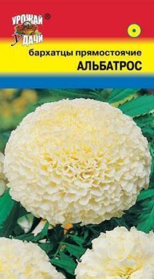Бархатцы Альбатрос – фото 8