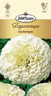 Бархатцы Альбатрос – фото 9