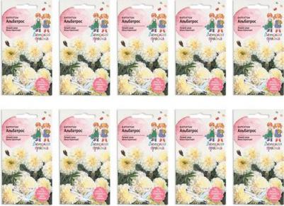 Бархатцы Альбатрос