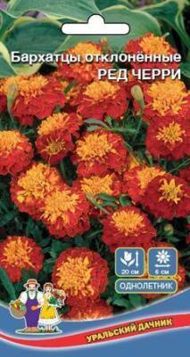 Бархатцы Ред черри – фото 4