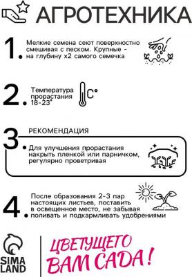 Бархатцы Ред черри – фото 5
