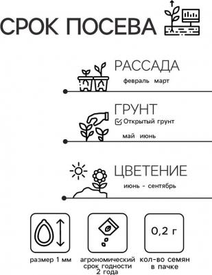 Бархатцы Ред черри – фото 8