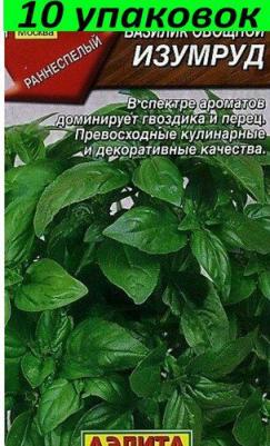 Базилик Изумруд – фото 3