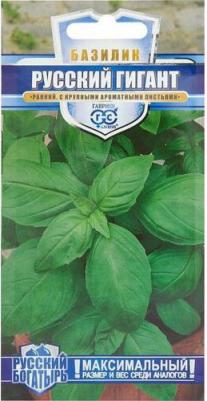 Базилик Русский гигант зеленый – фото 9