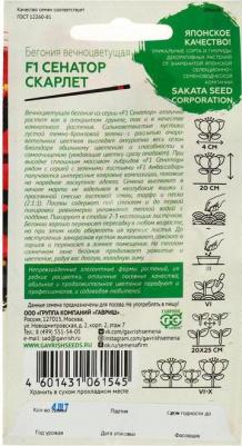 Бегония Сенатор – фото 3