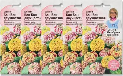 Цинния Бон бон – фото 10
