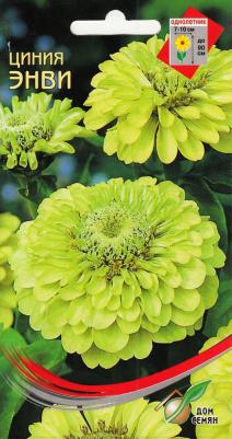 Цинния Энви – фото 2