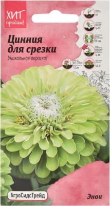 Цинния Энви – фото 4
