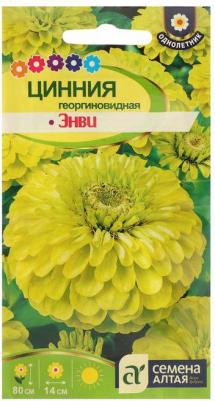 Цинния Энви – фото 6
