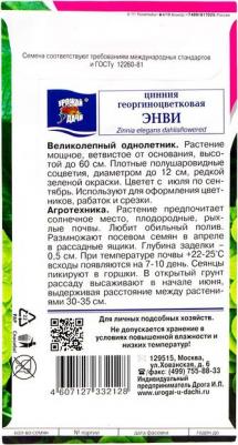 Цинния Энви – фото 8