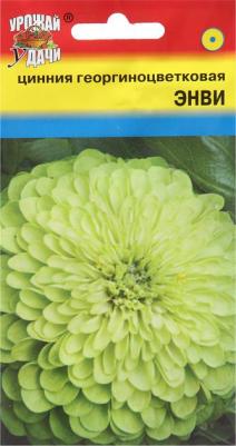 Цинния Энви – фото 16