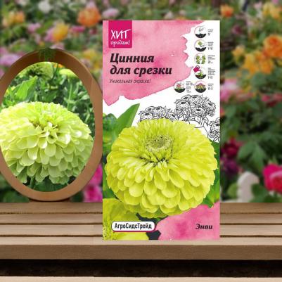 Цинния Энви – фото 17