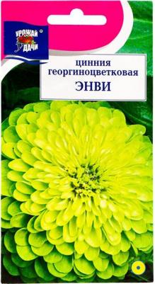 Цинния Энви – фото 19