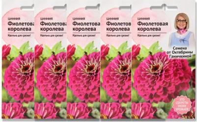 Цинния Фиолетовая Королева – фото 1