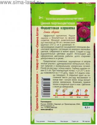 Цинния Фиолетовая Королева – фото 11