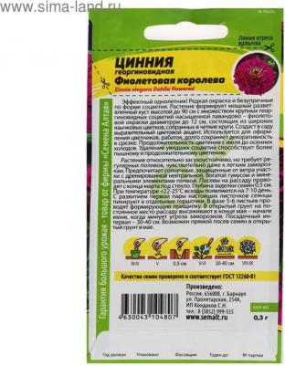 Цинния Фиолетовая Королева – фото 17