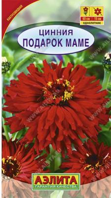 Цинния Подарок маме – фото 15
