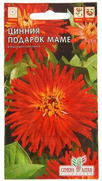 Цинния Подарок маме – фото 20