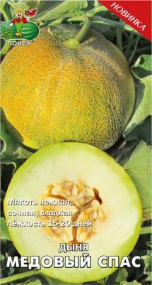 Дыня Медовый спас – фото 6