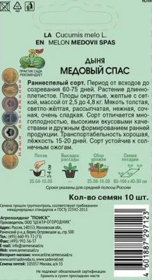 Дыня Медовый спас – фото 12