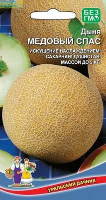 Дыня Медовый спас – фото 16