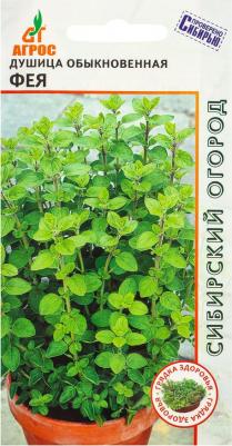Душица обыкновенная Фея – фото 10