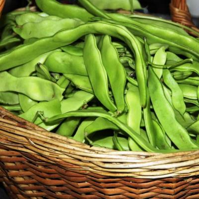 Фасоль Фатима – фото 1