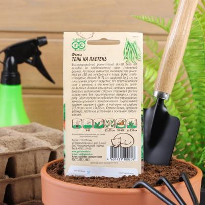 Фасоль Тень на плетень – фото 7