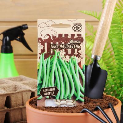 Фасоль Тень на плетень – фото 8