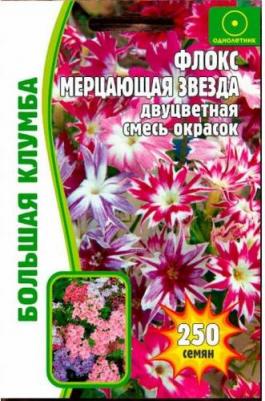 Флокс Мерцающая звезда