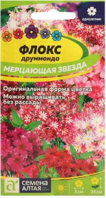 Флокс Мерцающая звезда – фото 6