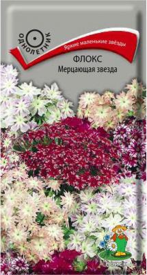 Флокс Мерцающая звезда – фото 9